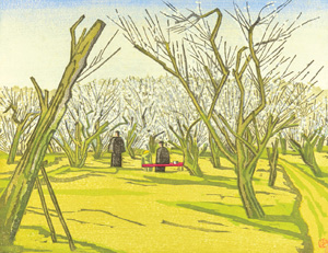 Plum Orchard