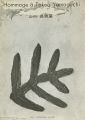 Hommage a Takeo Yamaguchi