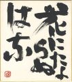 自筆色紙　花にたよらぬはな