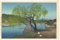 Willow of Ferry Station at Yos......