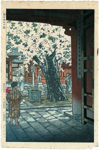 Cherry Blossoms in Shiogama Shrine