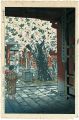 Cherry Blossoms in Shiogama Sh......