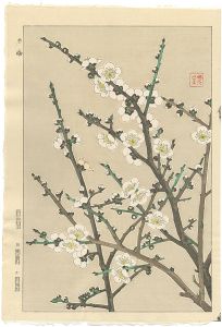 Kawarazaki Shodo / White Plum Blossoms