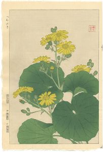河原崎奨堂「つわぶき」