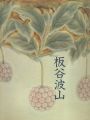 珠玉の陶芸 板谷波山展