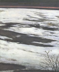 「相原求一朗の世界展 自然の詩情」