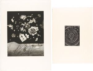 Hiwasaki Takao and Other 9 Artists  / 版画集 NATURE（自然）