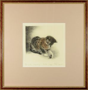 Kurt Meyer-Eberhardt / Cat