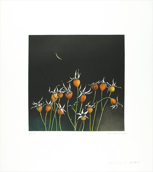 Hirota Masahisa “二月のバラ”