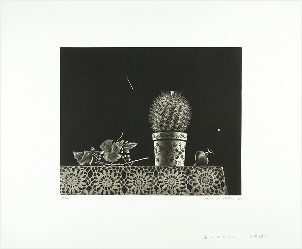 Hirota Masahisa “星とサボテン”