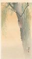 Cicada on a Willow Tree (tenta......