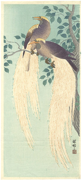 Ohara Koson(Shoson) “Birds of Paradise”