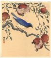 Flycatcher and Pomegranates