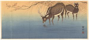 Ohara Koson(Shoson) / Deers