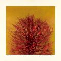 Treetop （Red）