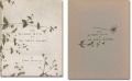 THE FLOWER BOOK OF THE EARLY S......
