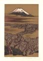 36 Views of Mt.Fuji / Mt. Fuji......