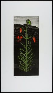 Oda Shigeru / Lily No.6