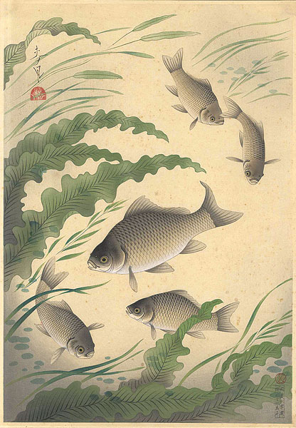 大野麥風「大日本魚類画集　フナ」