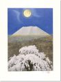 Mt.Fuji and Cherry Blossom Und......