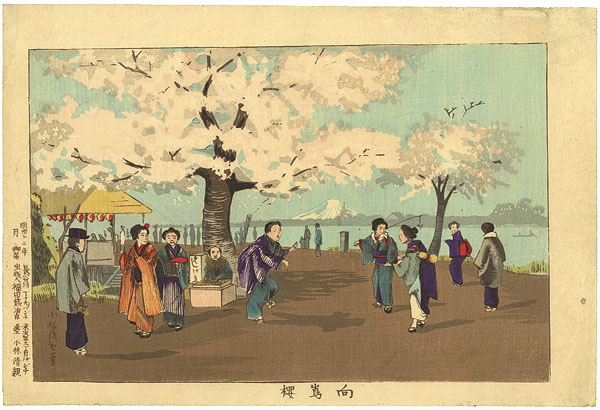 清親「向嶋櫻」