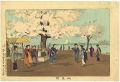 Cherry Blossom at Mukojima