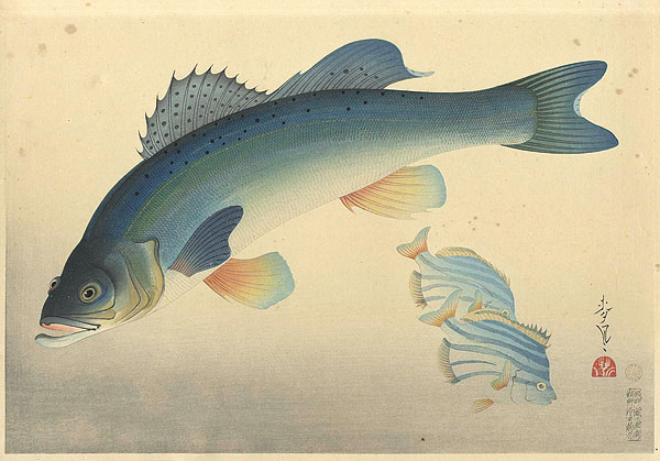Ono Bakufu “Fish of Japan / The Suzuki (Sea Bass)”