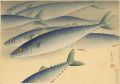 Fish of Japan / The Saba (Mack......