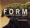 FORM-SCENERY SEEN THROUGH BONS......