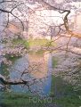 ROCKS／TOKYO No.7