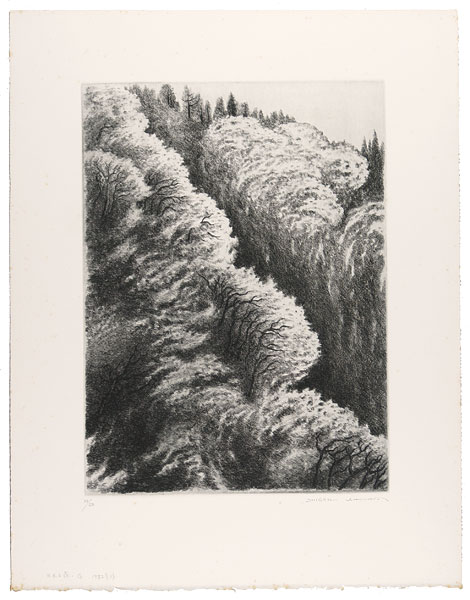 Kimura Shigeru “Waving Forest (G)”