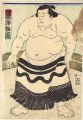 Sumo-e Shachinoumi Umekichi