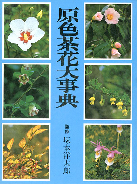 「原色茶花大事典」塚本洋太郎監修