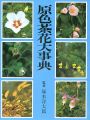 原色茶花大事典