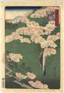 Hiroshige II / 100 Famous Views in the Various Provinces / Mountains of Yoshino in Yamato Province [諸国名所百景　大和よし野山]