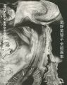 MICHIKO HOSHINO：Catalogue Rais......