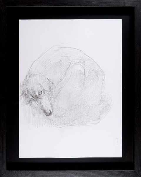 Matsui Fuyuko “Drawing : Dog”