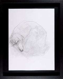 Matsui Fuyuko / Drawing : Dog