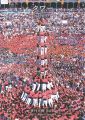 季刊大林 No.53 タワー（Tower）