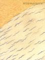 The 100th Anniversary of the J......