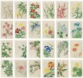 Floral Calendar of Japan