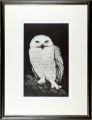 White Owl