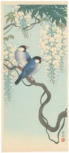 Ohara Koson(Shoson) / Birds and Wisteria