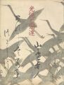 光悦と宗達