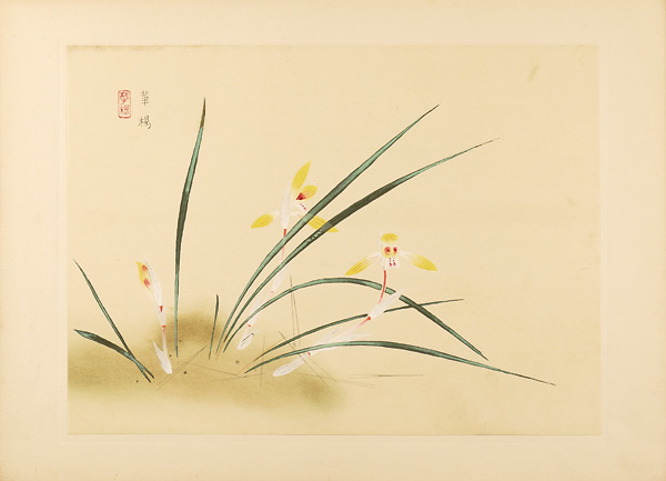 Yamaguchi kayo “from New Flowers-and-birds drawing”