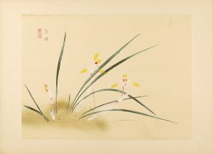 Yamaguchi kayo / from New Flowers-and-birds drawing