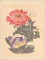 花（仮題）