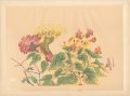 花（仮題）