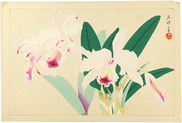 Inoue Masaharu “ Lily （tentative title）”