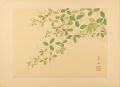 Bush Clover